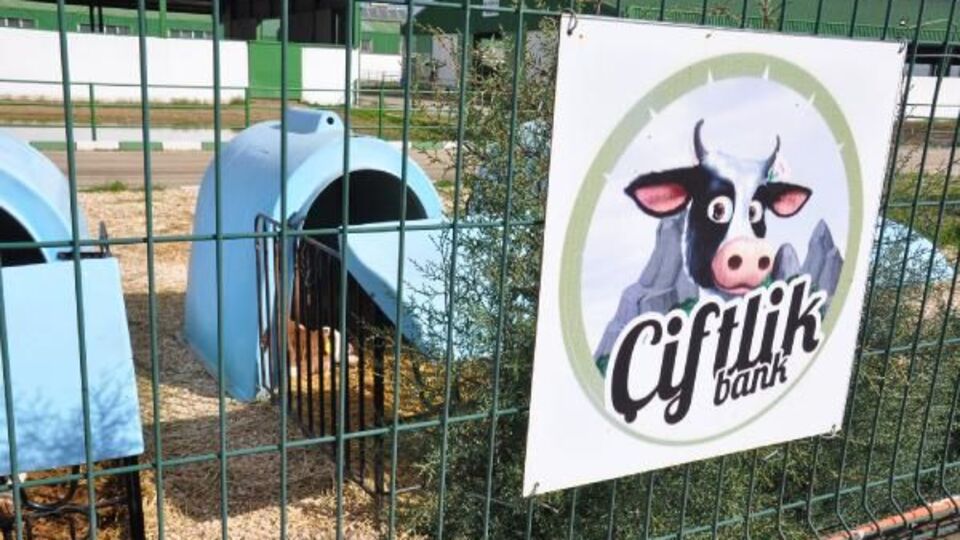 Çiftlik Bank nedir?