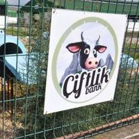 "Çiftlik Bank" soruşturmasında bir tutuklama daha!