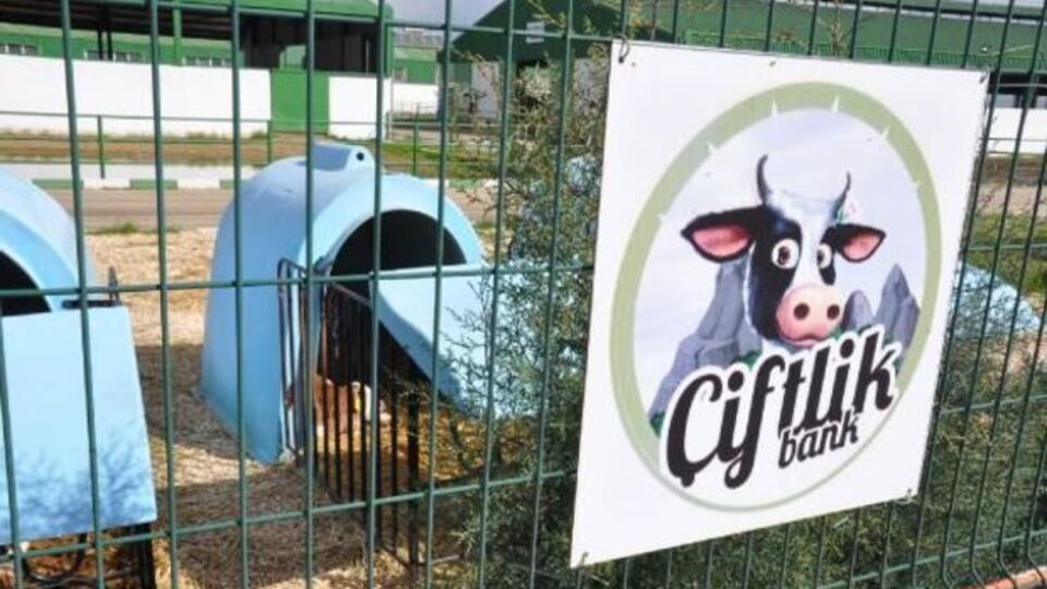 "Çiftlik Bank" soruşturmasında bir tutuklama daha!