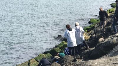 Kayalıklarda korkunç görüntü!