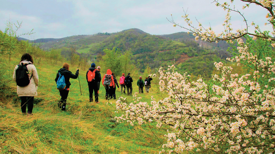 Şehirden kaçış rotaları
