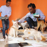 Eşiyle yıllardır köprü altında yaşıyordu! İyiliği sayesinde hayatı değişti
