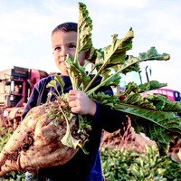 Pancar çiftçisini sevindiren karar