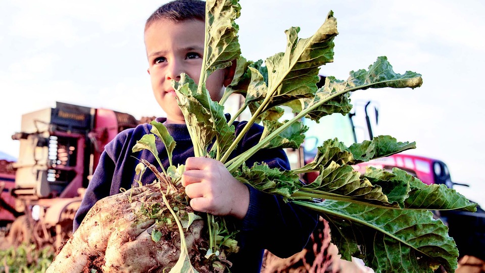 Pancar çiftçisini sevindiren karar