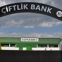 Sakarya merkezli 7 ilde Çiftlik Bank operasyonu!
