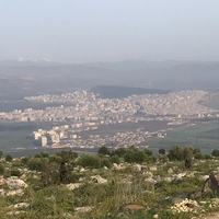 Özel Kuvvetler Afrin merkezinde! TSK, son sayıyı açıkladı