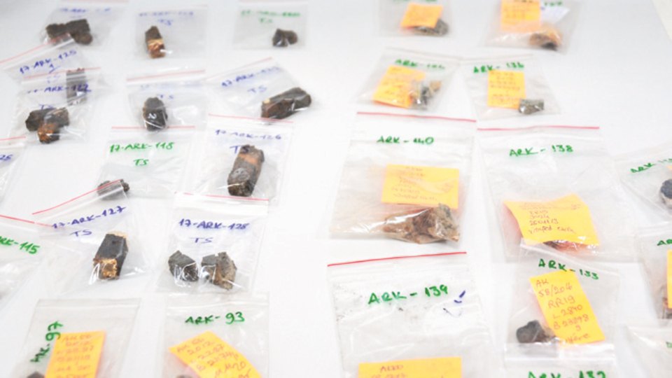 İsrail'in tarihi onlara emanet