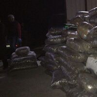 Arnavutluk'tan Bodrum'a! Çete lideri yakalandı