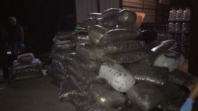 Arnavutluk'tan Bodrum'a! Çete lideri yakalandı