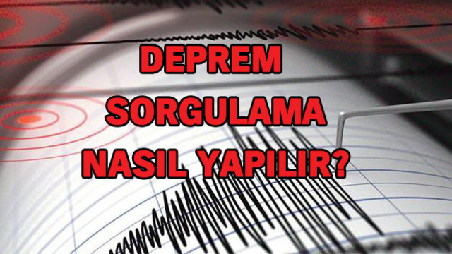 Soyağacı ve miras sorgulamadan sonra: "Deprem riski sorgulama"
