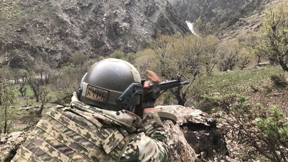 Bitlis'te terör örgütüne yönelik operasyon