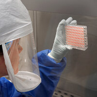 Yapay zeka 6 bin yeni virüs türü keşfetti!