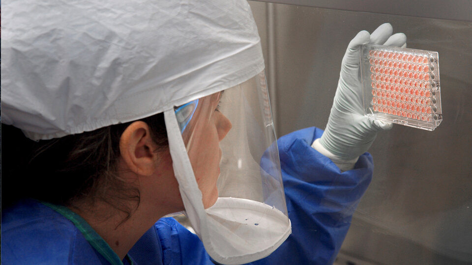 Yapay zeka 6 bin yeni virüs türü keşfetti!