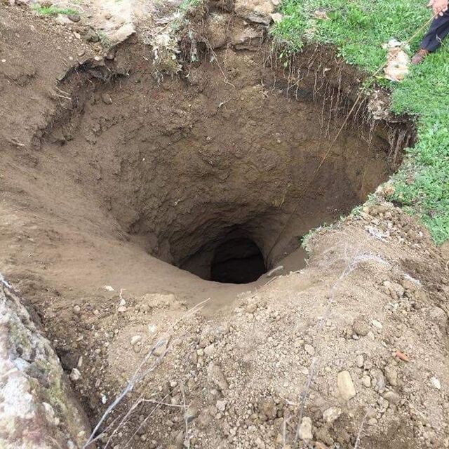 Korkutan gelişme! "Ne atarsak yutuyor"