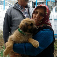 Köpek sevgisiyle sosyal medya fenomeni oldu