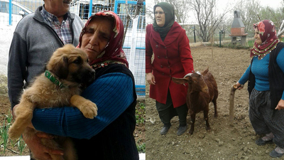 Köpek sevgisiyle sosyal medya fenomeni oldu