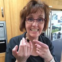 Dünyanın en ilginç dostluğu! Kanatsız arıyı hayata bağladı