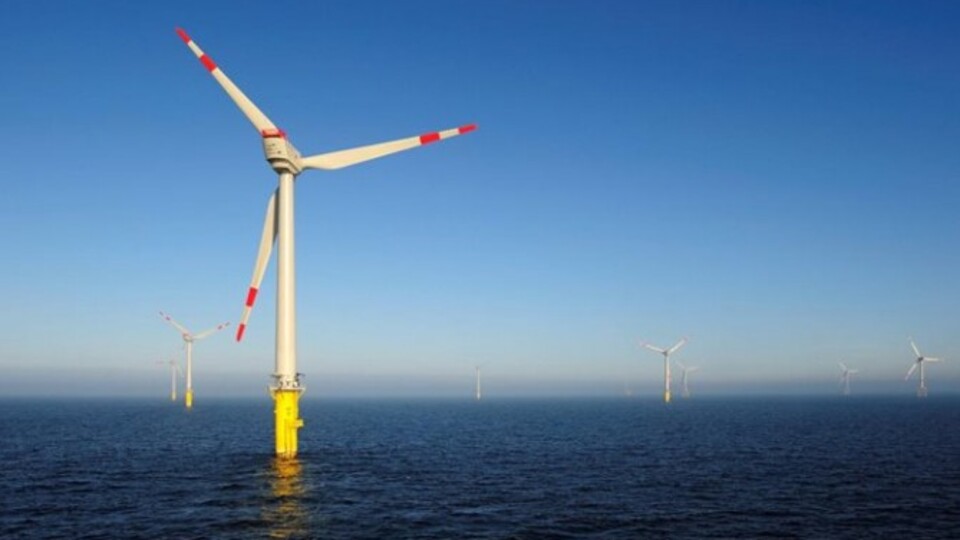 Türkiye'nin ilk off-shore YEKA projesinde bölgeler belirlendi