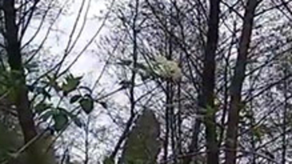 Korkunç! Patlamadan sonra asılı kaldı