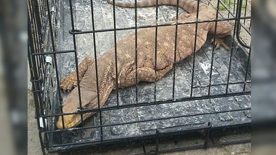 Yer Cizre! Köylüler yol yapım çalışması sırasında buldu