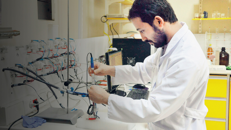 Yerlileştirme harekâtı başlıyor