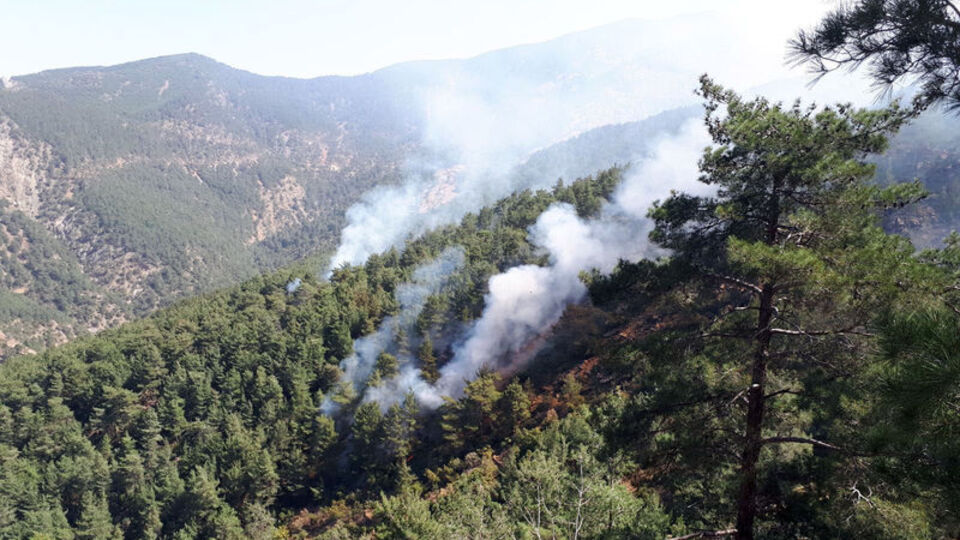 Hatay'da teröristler, ormanı ateşe verdi