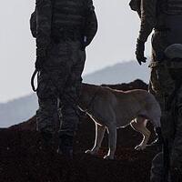 Afrin'de el yapımı patlayıcı infilak etti: 2 asker şehit