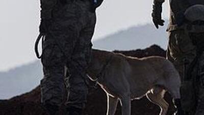 Afrin'de el yapımı patlayıcı infilak etti: 2 asker şehit