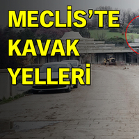Meclis’te kavak yelleri