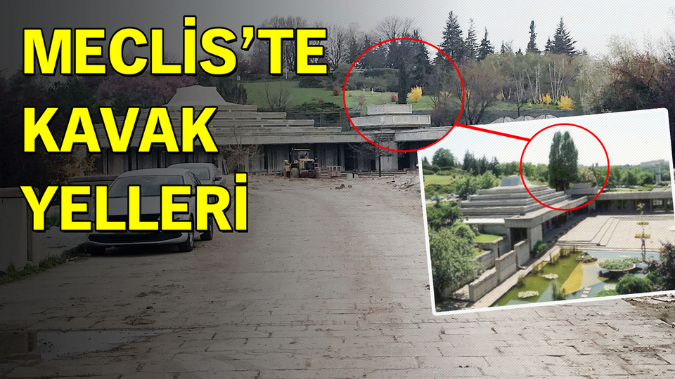 Meclis'te kavak yelleri