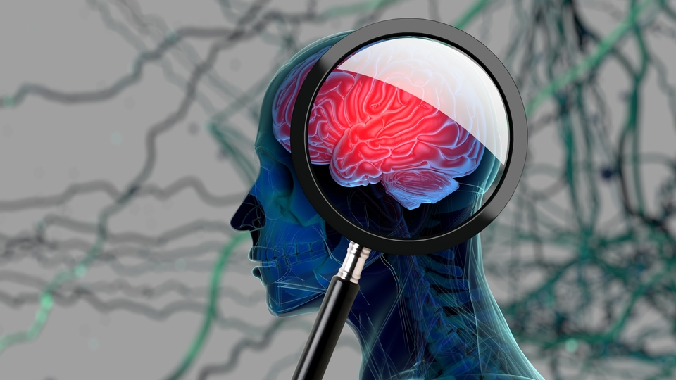 İnsan vücuduna dair son 3 büyük keşif!