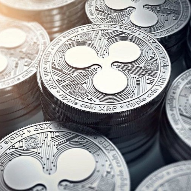 Tarihin en büyük kripto para bağışı!