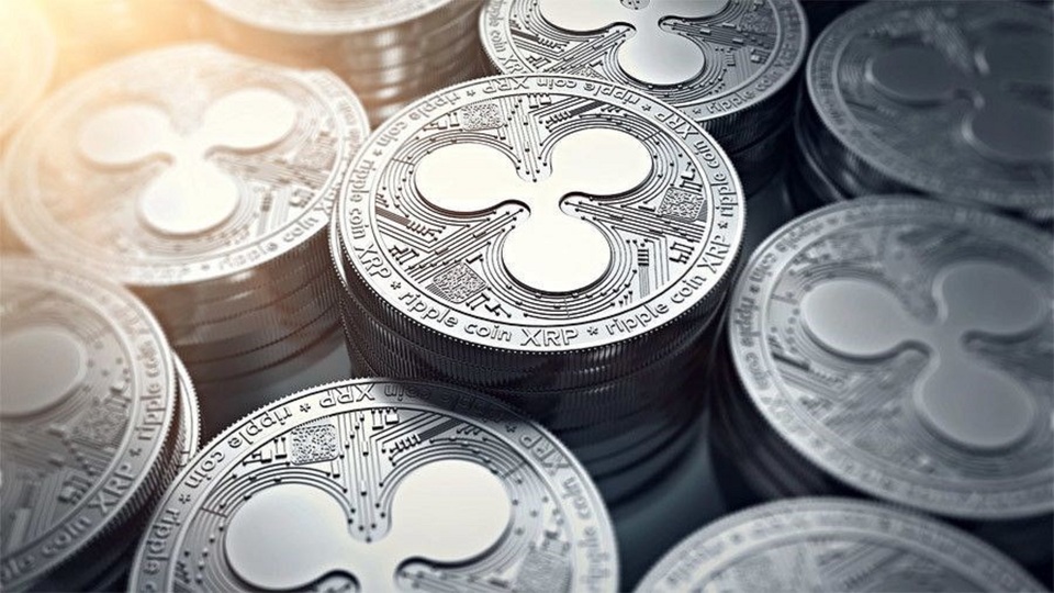 Tarihin en büyük kripto para bağışı!