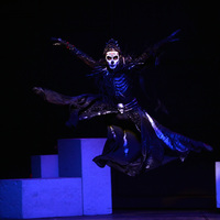 Frida Kahlo'nun hayatından kesitler, Frida balesinde!