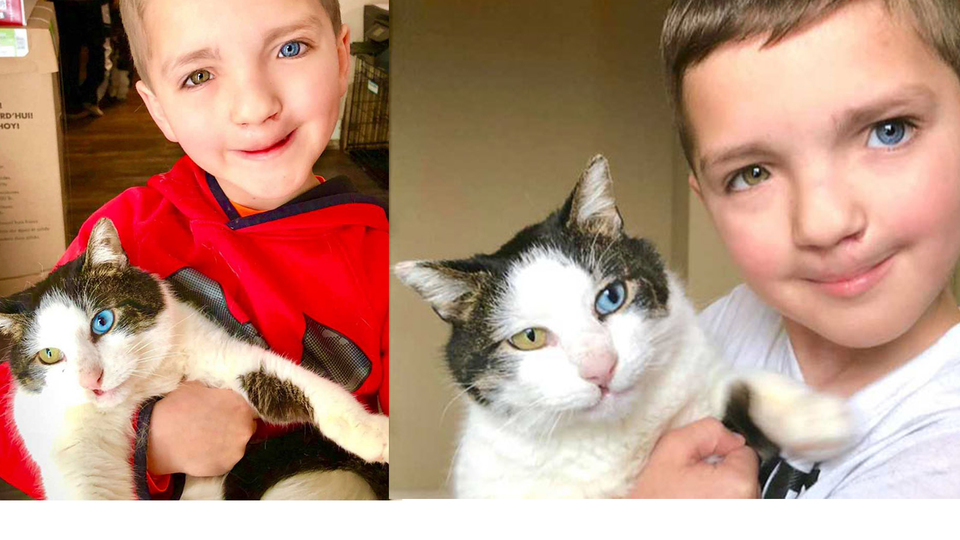 Böylesine milyonda bir rastlanır! Adeta ikizini buldu