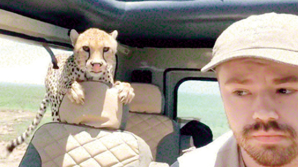 Beklenmedik ziyaretçi şaşkına uğrattı!