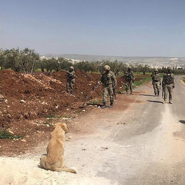 Afrin'de askeri aracın geçişi sırasında mayın patladı: Şehit ve yaralılar var