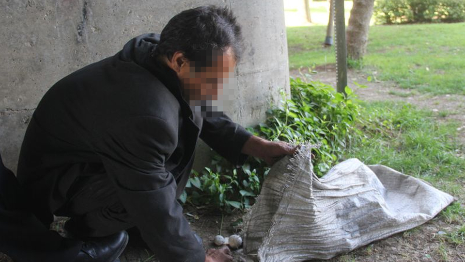 "Yastık yapmak için topladım" dedi, cezaevine gönderildi!