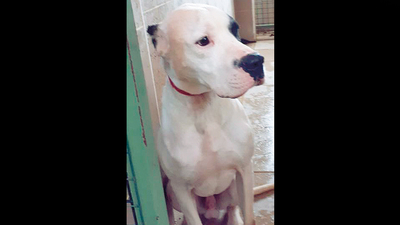 Genç kadına "Beni tanıdın mı?" dedi, sonrası korkunç!