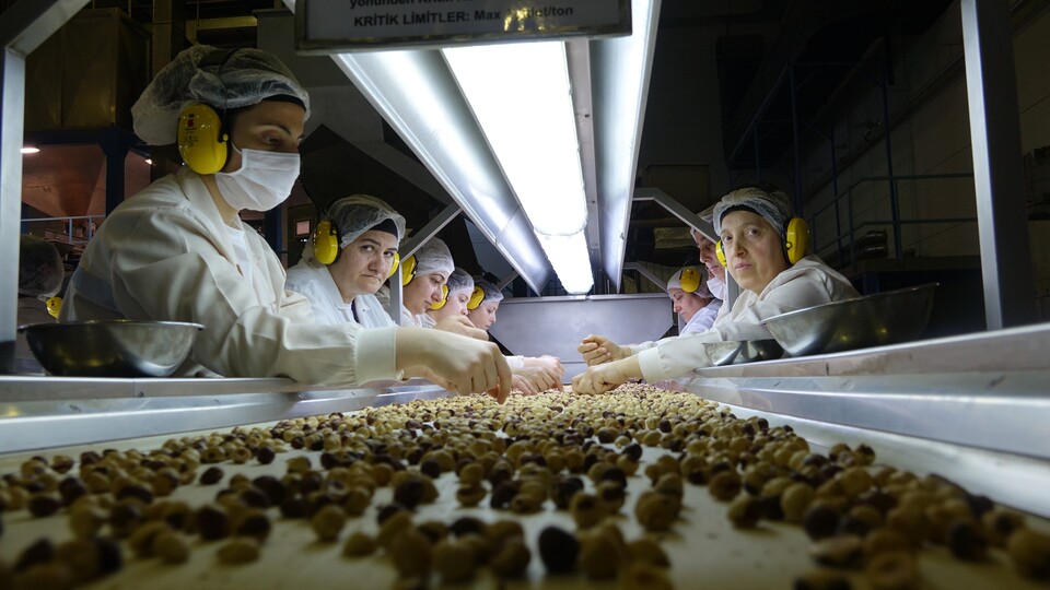 Kar yağışı fındık üreticilerini endişelendirdi