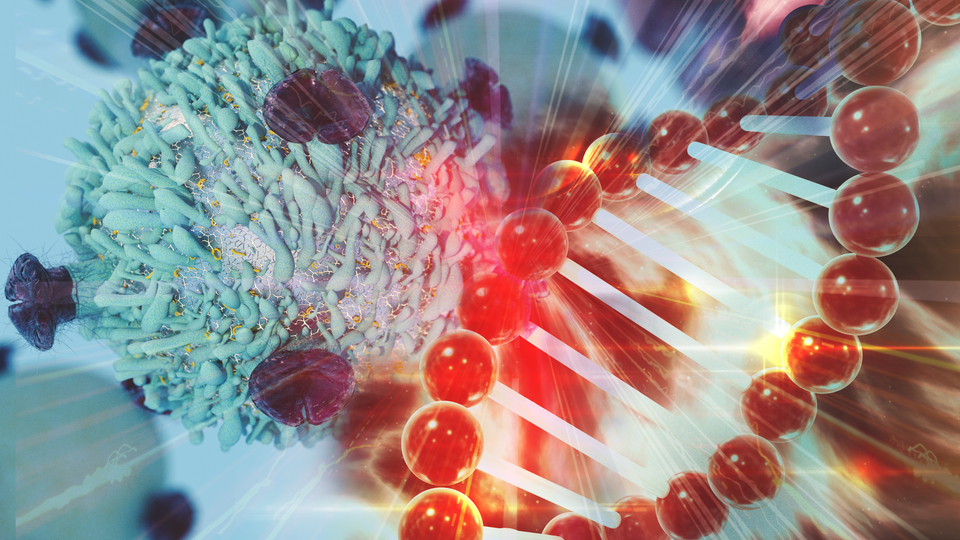 Hangi kanser türüne hangi bitki iyi geliyor?