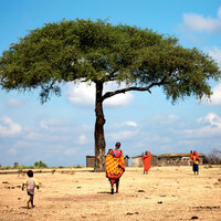 Adeta doğa harikası! İşte Kenya'yı görmek için 5 neden