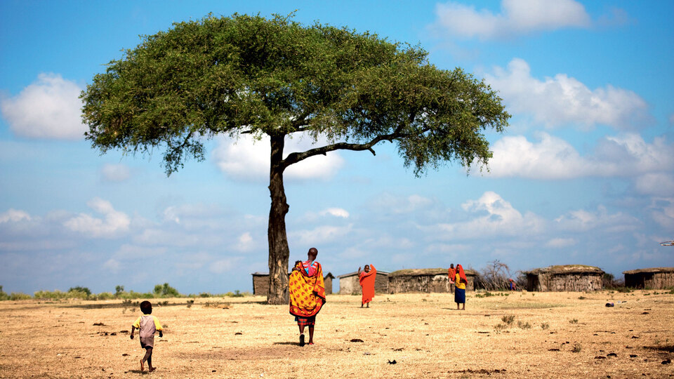 Adeta doğa harikası! İşte Kenya'yı görmek için 5 neden