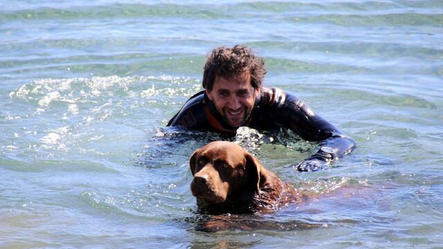 Bodrum'un çevreci köpeği! Deniz temizliğinde dalgıçlara destek oluyor