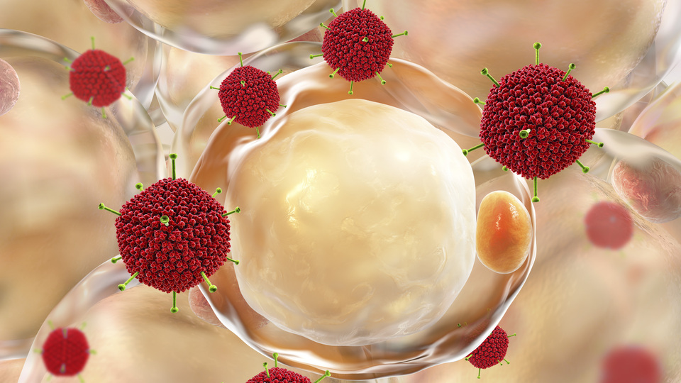 Diyabet ve obezite tedavisi için dev adım!