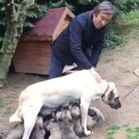 "Hayvanlara iyi bakalım, onlara ihtiyacımız var"