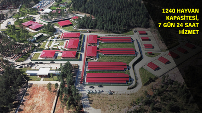 Dünyanın 2. büyük bakımevi Tepeören'e