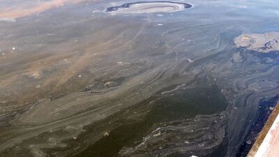 Yürüyüşe çıkanlar manzara karşısında şoke oldu!