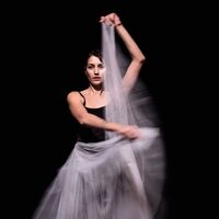 Bir balerinin manifestosu