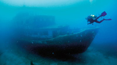 3300 yıllık gemideki fare DNA'sından son limana